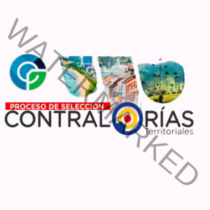 CONTRALORIAS TERRITORIALES ASISTENCIAL