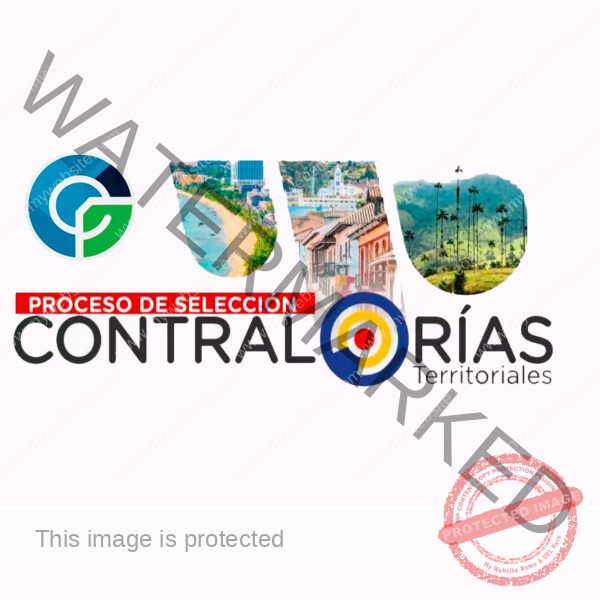 CONTRALORIAS TERRITORIALES TÉCNICO