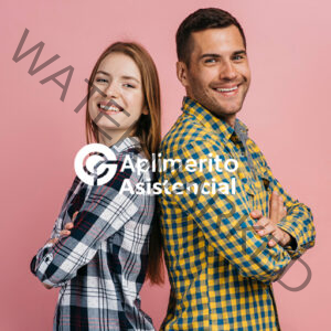 APLIMERITO PERFIL ASISTENCIAL - DIAN
