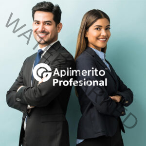 APLIMERITO PERFIL PROFESIONAL - DIAN
