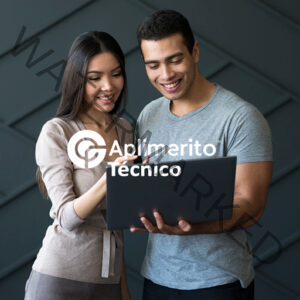APLIMERITO PERFIL TÉCNICO - DIAN